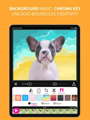 Toonita Video android App screenshot 4